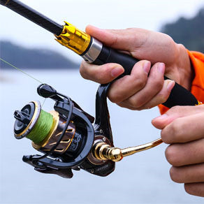 Fishing Rod